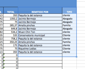 DETALLE DE REMITIDO POR Y TIPO